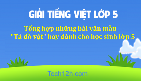 Tổng hợp những bài văn mẫu "Tả đồ vật" hay dành cho học sinh lớp 5