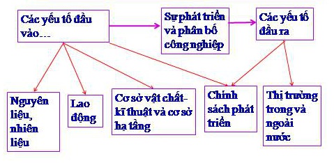 các nhân tố tự nhiên và kinh tế - xã hội