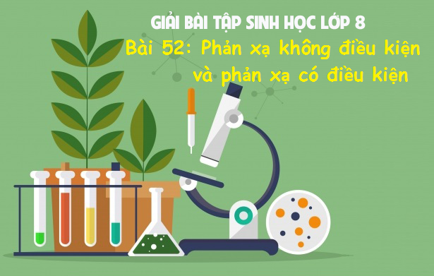 Giải bài 52 sinh 8: Phản xạ không điều kiện và phản xạ có điều kiện