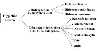 Bài 20: Mở đầu về hóa học hữu cơ