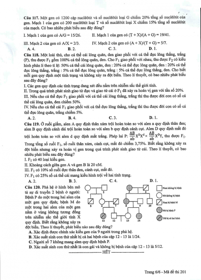 Đề và đáp án môn Sinh học mã đề 201 thi THPT quốc gia năm 2017 - đáp án của bộ GD-ĐT