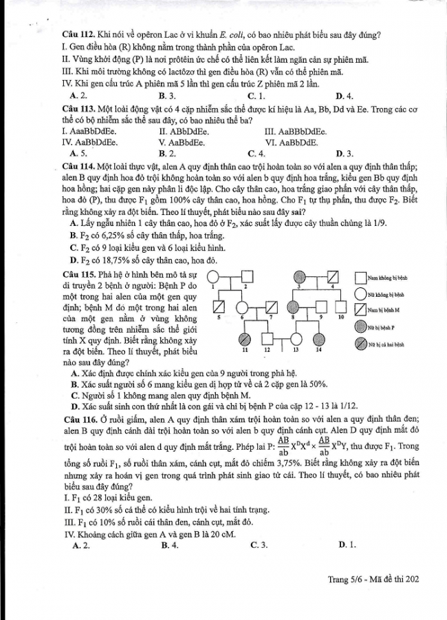 Đề và đáp án môn Sinh học mã đề 202 thi THPT quốc gia năm 2017 - đáp án của bộ GD-ĐT