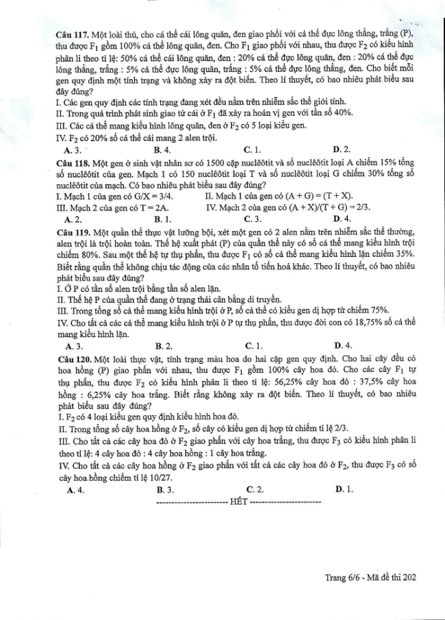 Đề và đáp án môn Sinh học mã đề 202 thi THPT quốc gia năm 2017 - đáp án của bộ GD-ĐT