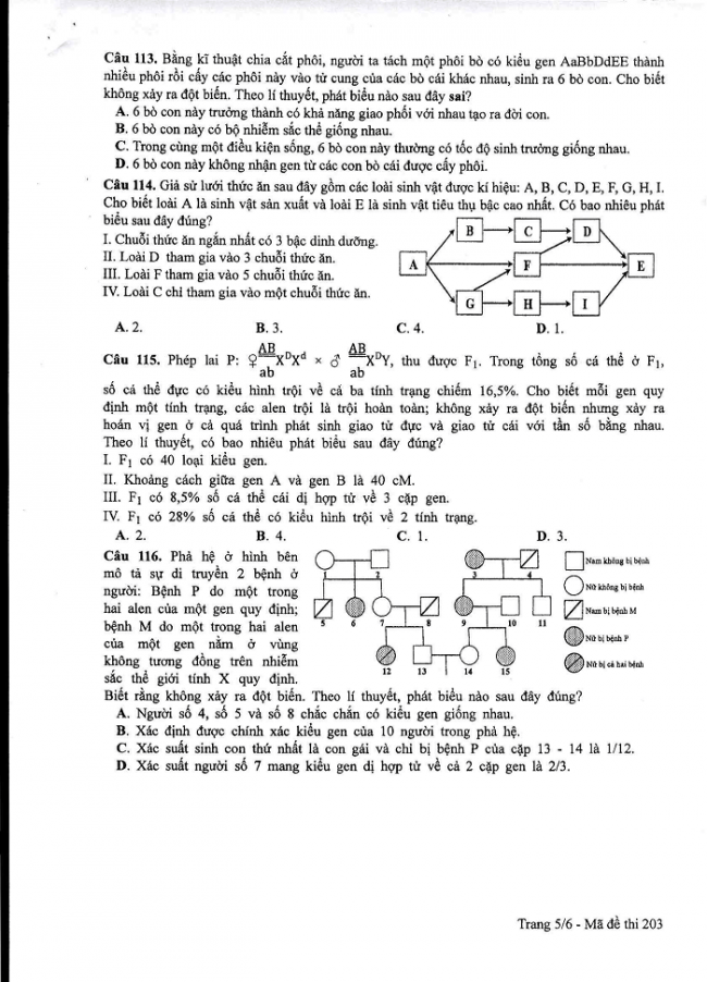 Đề và đáp án môn Sinh học mã đề 203 thi THPT quốc gia năm 2017 - đáp án của bộ GD-ĐT