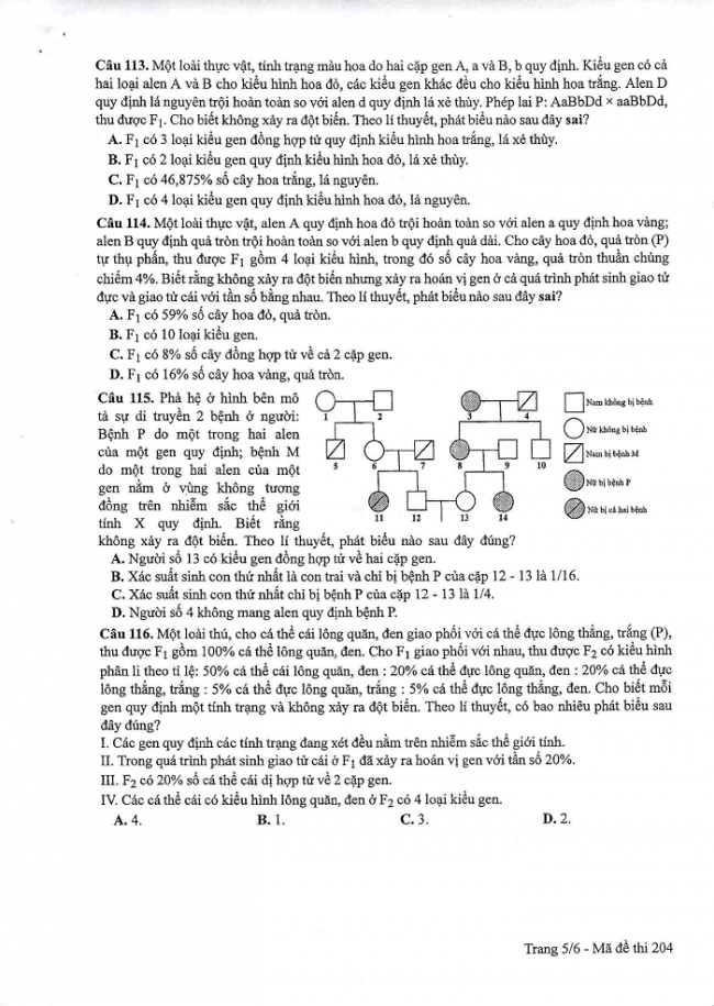 Đề và đáp án môn Sinh học mã đề 204 thi THPT quốc gia năm 2017 - đáp án của bộ GD-Đ4