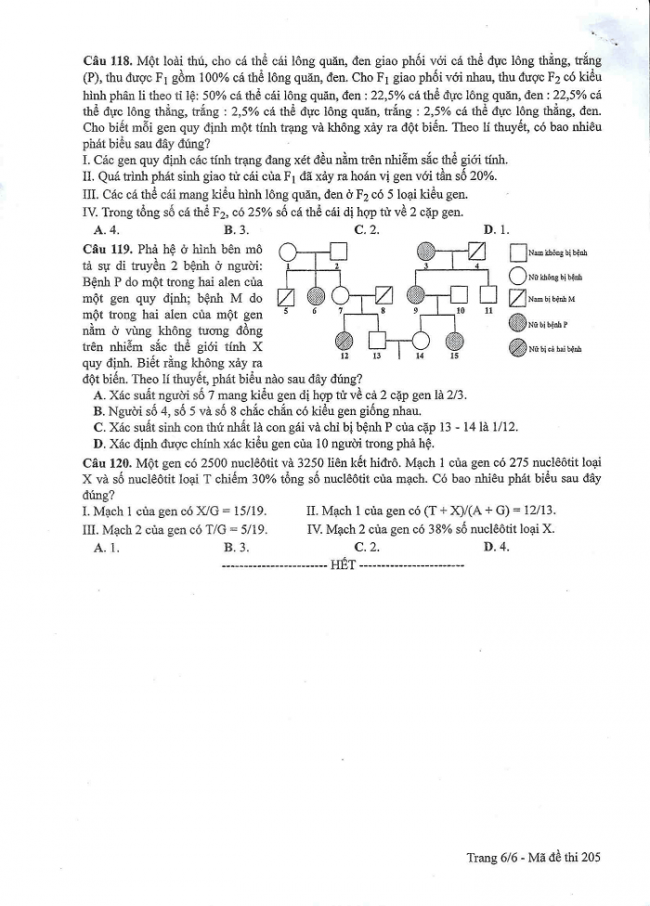 Đề và đáp án môn Sinh học mã đề 205 thi THPT quốc gia năm 2017 - đáp án của bộ GD-ĐT