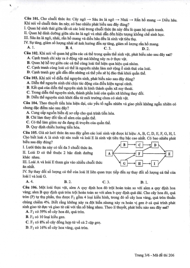 Đề và đáp án môn Sinh học mã đề 206 thi THPT quốc gia năm 2017 - đáp án của bộ GD-ĐT