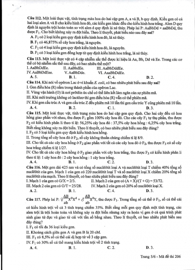 Đề và đáp án môn Sinh học mã đề 206 thi THPT quốc gia năm 2017 - đáp án của bộ GD-ĐT
