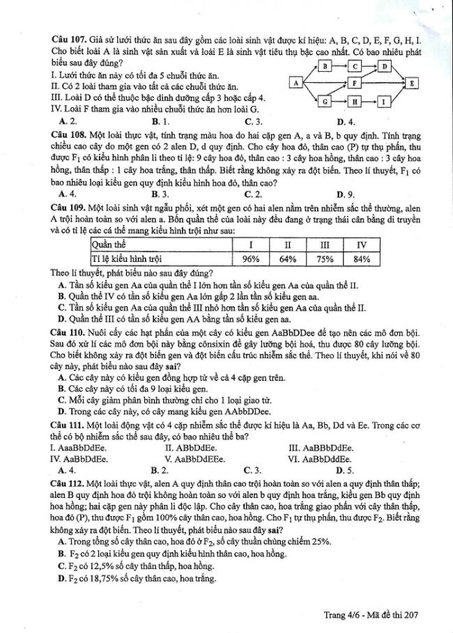 Đề và đáp án môn Sinh học mã đề 207 thi THPT quốc gia năm 2017 - đáp án của bộ GD-ĐT