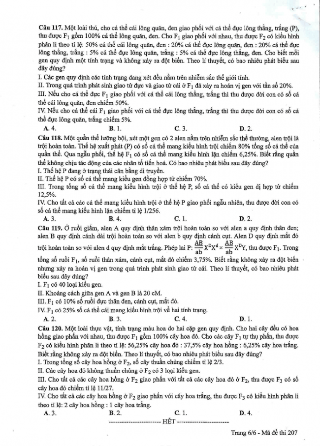 Đề và đáp án môn Sinh học mã đề 207 thi THPT quốc gia năm 2017 - đáp án của bộ GD-ĐT
