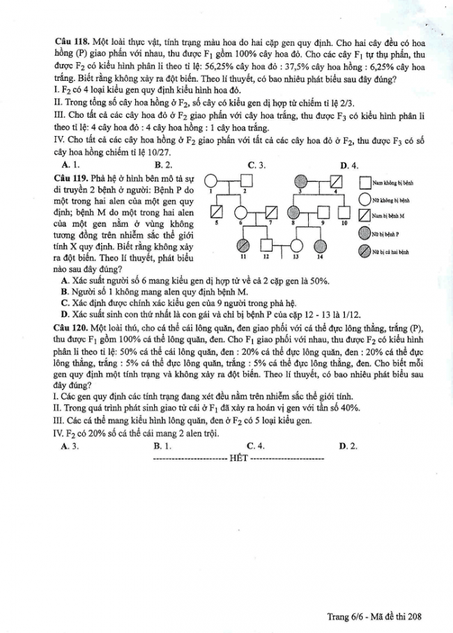 Đề và đáp án môn Sinh học mã đề 208 thi THPT quốc gia năm 2017 - đáp án của bộ GD-ĐT