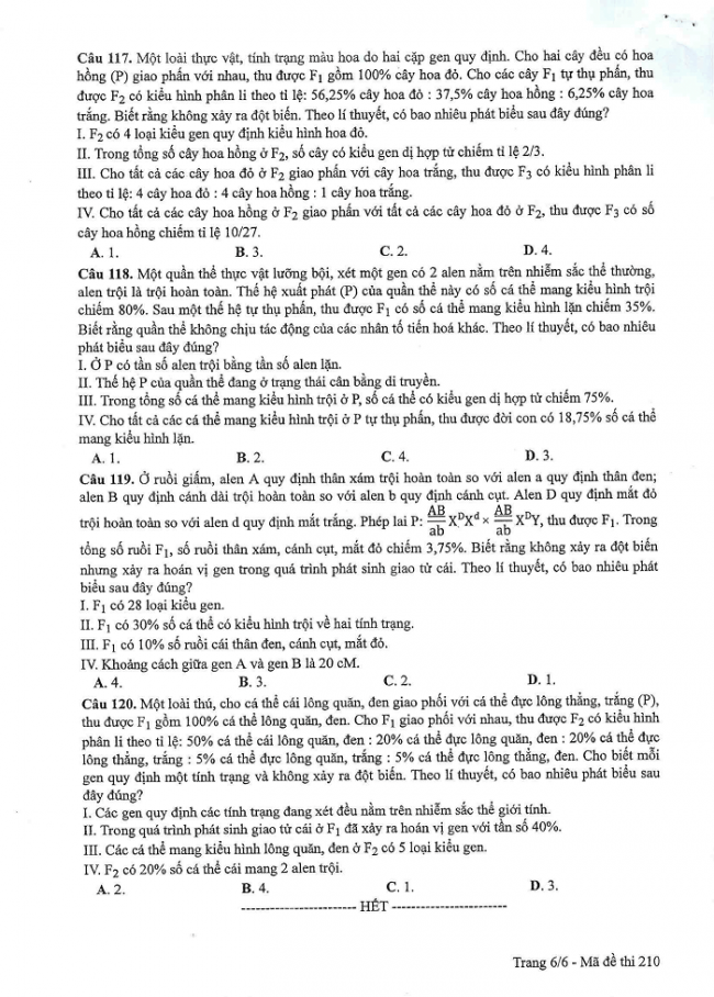 Đề và đáp án môn Sinh học mã đề 210 thi THPT quốc gia năm 2017 - đáp án của bộ GD-ĐT