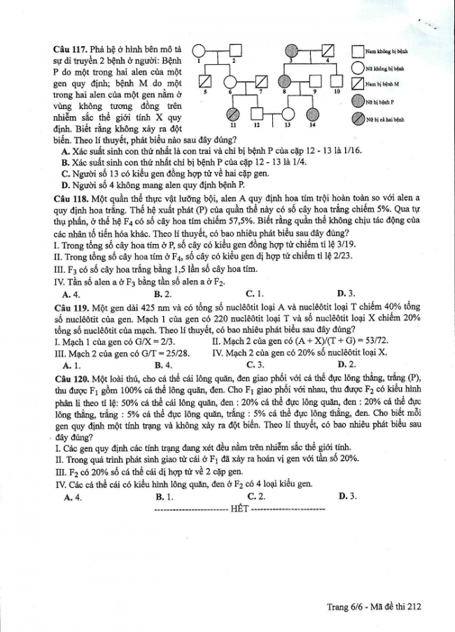 Đề và đáp án môn Sinh học mã đề 212 thi THPT quốc gia năm 2017 - đáp án của bộ GD-ĐT