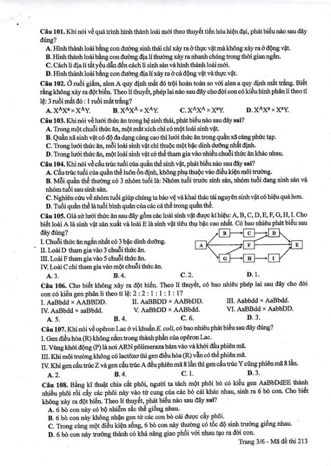 Đề và đáp án môn Sinh học mã đề 213 thi THPT quốc gia năm 2017 - đáp án của bộ GD-ĐT