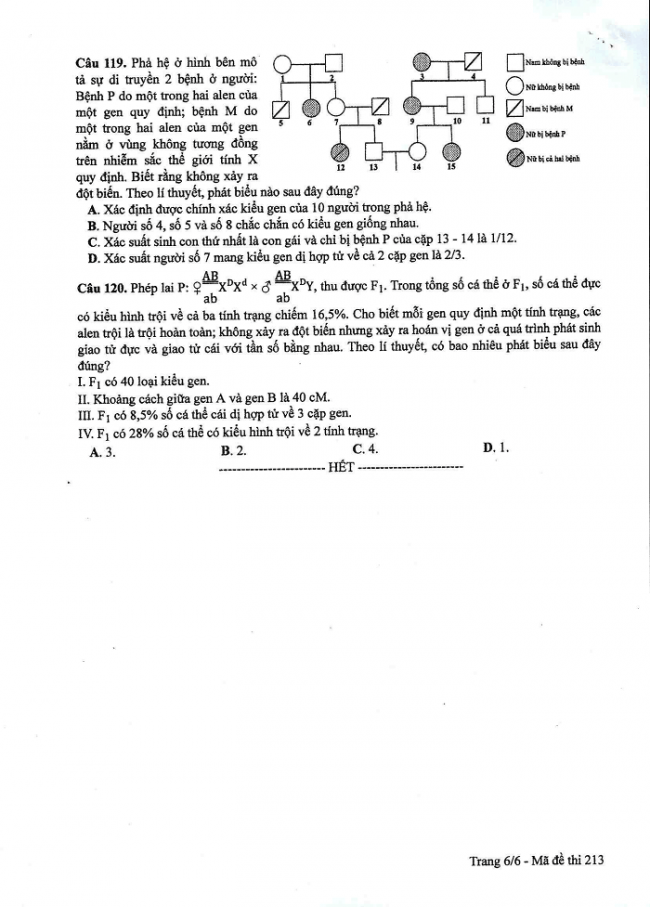Đề và đáp án môn Sinh học mã đề 213 thi THPT quốc gia năm 2017 - đáp án của bộ GD-ĐT