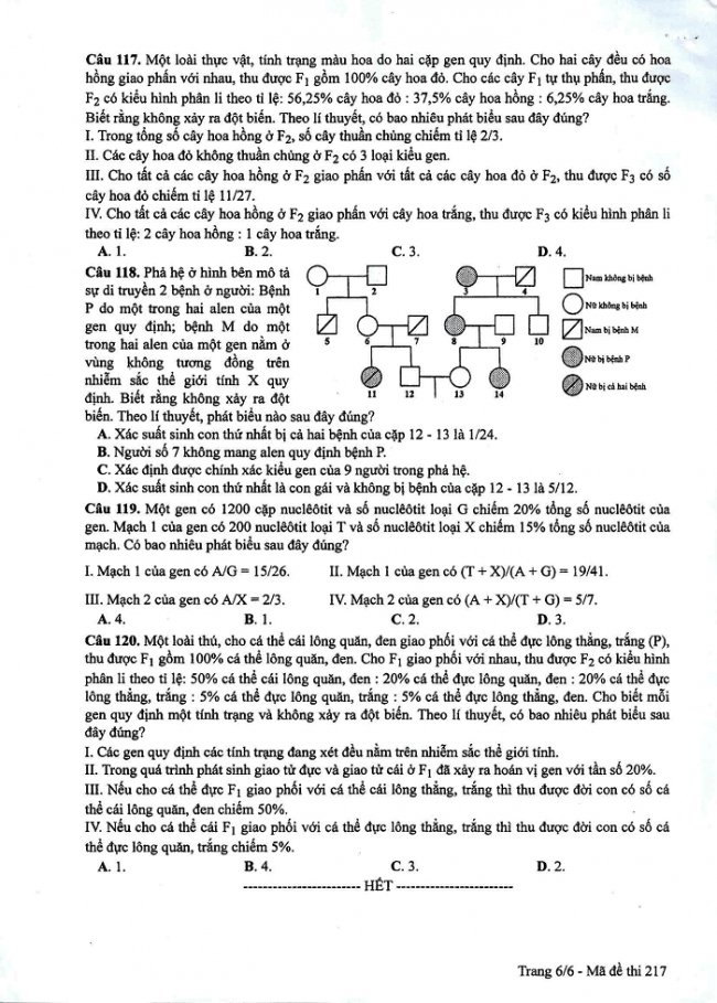 Đề và đáp án môn Sinh học mã đề 217 thi THPT quốc gia năm 2017 - đáp án của bộ GD-ĐT