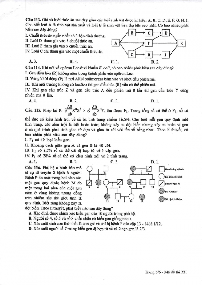 Đề và đáp án môn Sinh học mã đề 221 thi THPT quốc gia năm 2017 - đáp án của bộ GD-ĐT