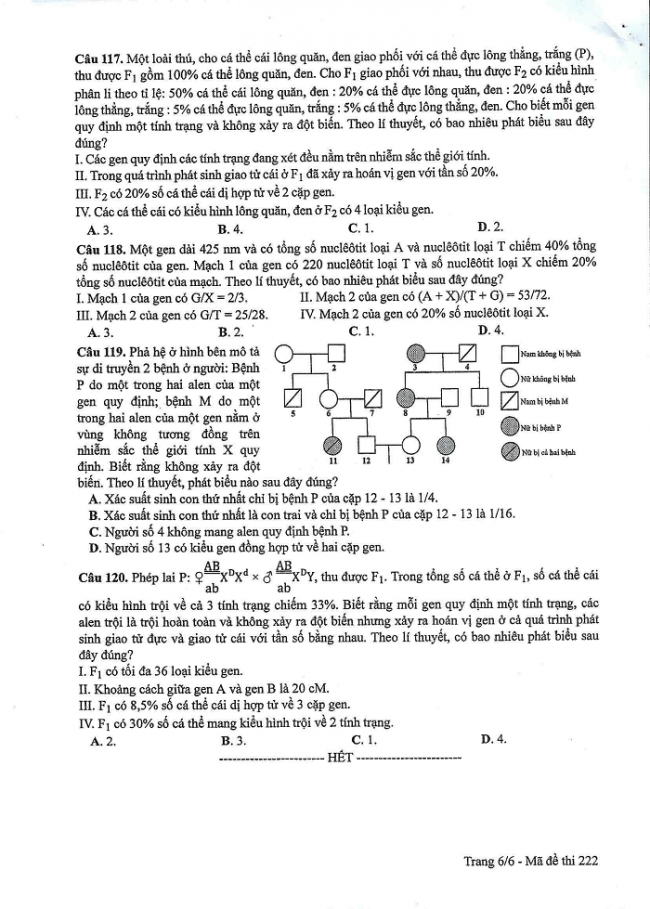 Đề và đáp án môn Sinh học mã đề 222 thi THPT quốc gia năm 2017 - đáp án của bộ GD-ĐT