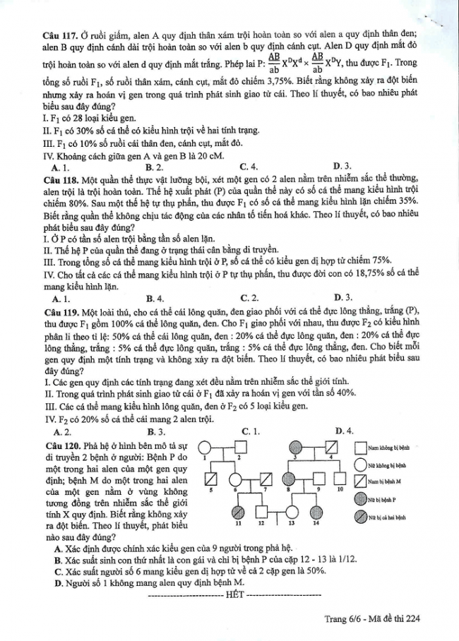Đề và đáp án môn Sinh học mã đề 224 thi THPT quốc gia năm 2017 - đáp án của bộ GD-ĐT