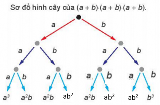 Giải bài 25 Nhị thức Newton