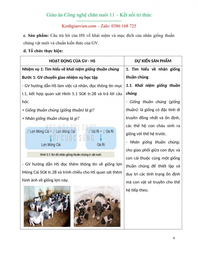 Giáo án công nghệ chăn nuôi 11 mới năm 2023 kết nối tri thức