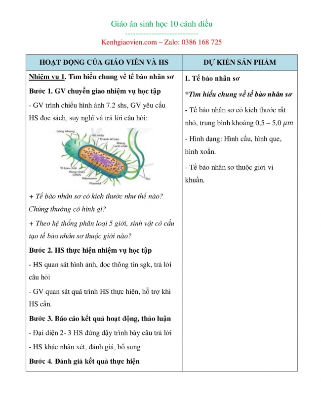 Tải GA word sinh học 10 cánh diều