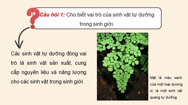 Soạn giáo án điện tử sinh học 11 Cánh diều Bài 1: Khái quát về trao đổi chất và chuyển hoá năng lượng