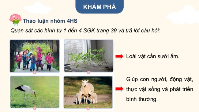 Soạn giáo án điện tử khoa học 4 CTST Bài 9: Ánh sáng với đời sống