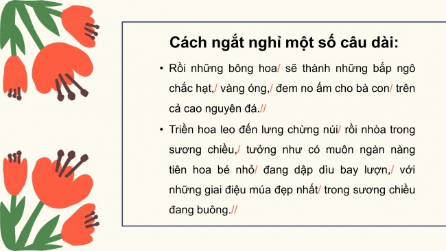 Soạn giáo án điện tử tiếng việt 4 CTST CĐ 3 Bài 8 Đọc: Những mùa hoa trên cao nguyên đá