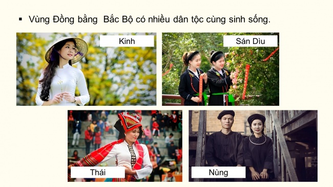 Soạn giáo án điện tử lịch sử và địa lí 4 CTST Bài 9: Dân cư và hoạt động sản xuất ở vùng Đồng bằng Bắc Bộ