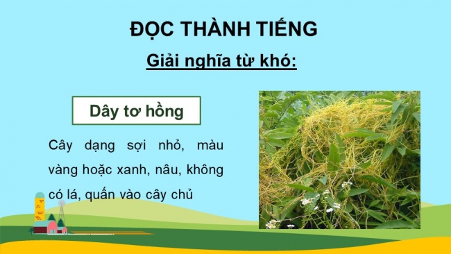 Soạn giáo án điện tử Tiếng Việt 4 CD Bài 7 Đọc 2: Kỉ niệm xưa