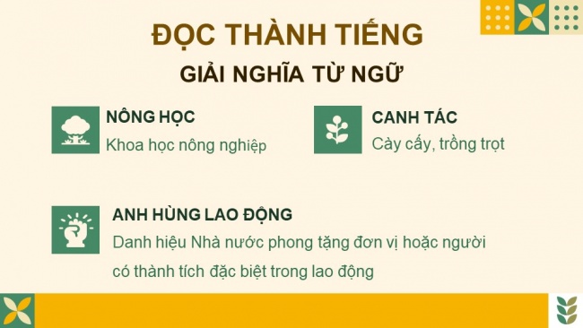 Soạn giáo án điện tử Tiếng Việt 4 CD Bài 8 Đọc 2: Nhà bác học của đồng ruộng