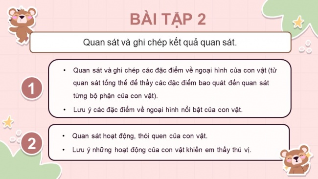 Soạn giáo án điện tử tiếng việt 4 KNTT Bài 26: Viết Quan sát con vật