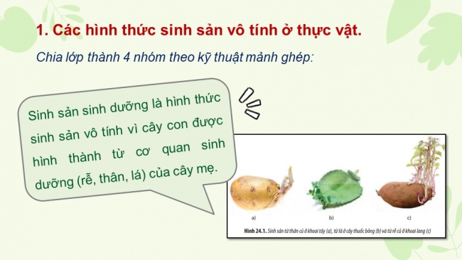 Bài giảng điện tử sinh học 11 chân trời sáng tạo