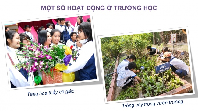 Soạn giáo án điện tử mĩ thuật 4 KNTT Chủ đề 6: Mái trường yêu dấu