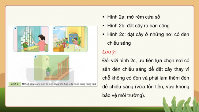 Soạn giáo án điện tử công nghệ 4 KNTT bài 6: Chăm sóc hoa, cây cảnh trong chậu