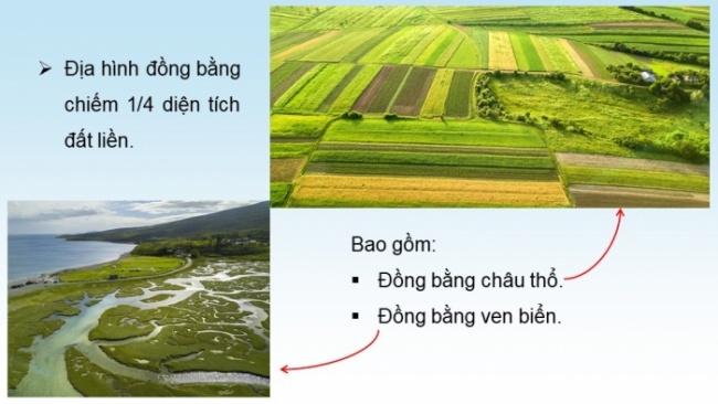 Soạn giáo án điện tử Địa lí 8 CTST Bài 2: Đặc điểm địa hình