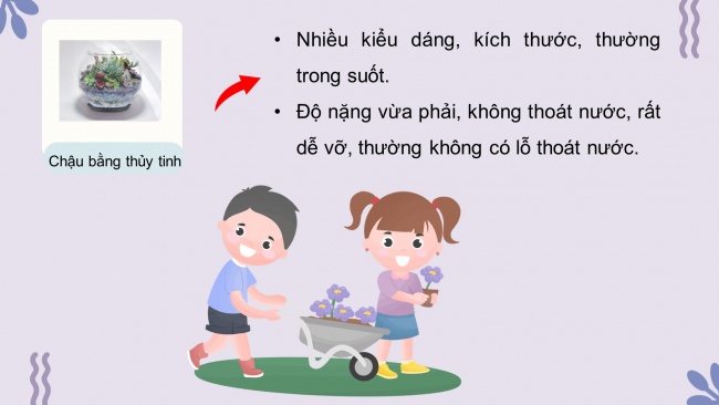 Soạn giáo án điện tử công nghệ 4 CTST Bài 2: Vật liệu, dụng cụ trồng hoa và cây cảnh trong chậu