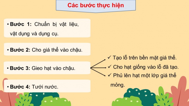 Soạn giáo án điện tử công nghệ 4 CTST Bài 3: Gieo hạt và trồng cây hoa trong chậu