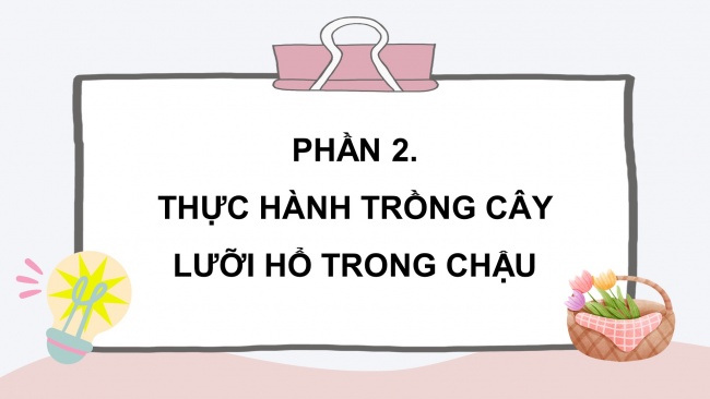 Soạn giáo án điện tử công nghệ 4 CTST Bài 4: Trồng cây cảnh trong chậu