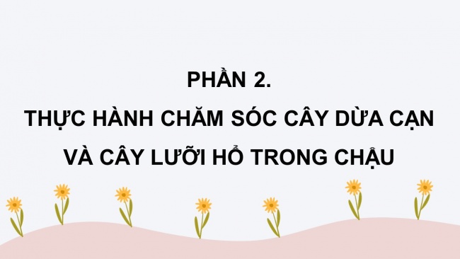 Soạn giáo án điện tử công nghệ 4 CTST Bài 5: Chăm sóc hoa, cây cảnh trong chậu