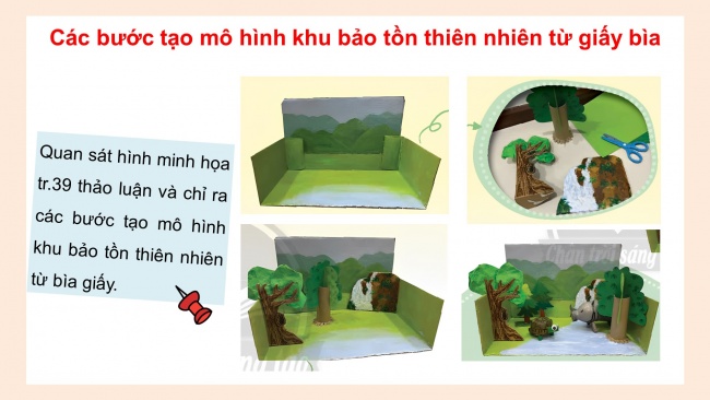 Soạn giáo án điện tử mĩ thuật 4 CTST bản 1 Bài 4: Mô hình khu bảo tồn thiên nhiên