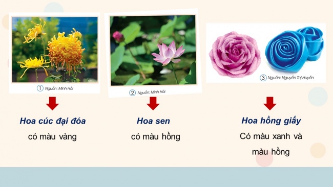 Soạn giáo án điện tử mĩ thuật 4 cánh diều Bài 4: Sắc hoa quê hương