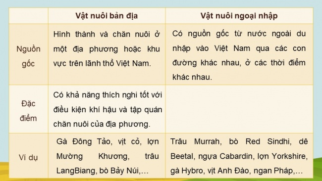 Soạn giáo án điện tử Công nghệ chăn nuôi 11 KNTT Bài 2: Vật nuôi và phương thức chăn nuôi