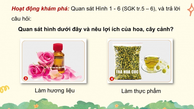 Bài giảng điện tử công nghệ 4 cánh diều