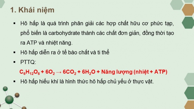 Soạn giáo án điện tử sinh học 11 KNTT Bài 6: Hô hấp ở thực vật (P1)