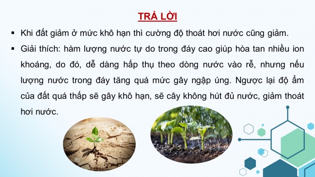 Soạn giáo án điện tử sinh học 11 CTST Bài 2: Trao đổi nước và khoáng ở thực vật (P2)