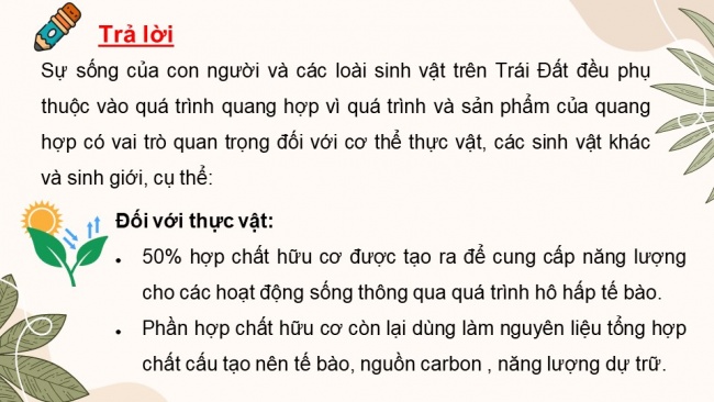 Soạn giáo án điện tử sinh học 11 CTST Bài 4: Quang hợp ở thực vật (P1)