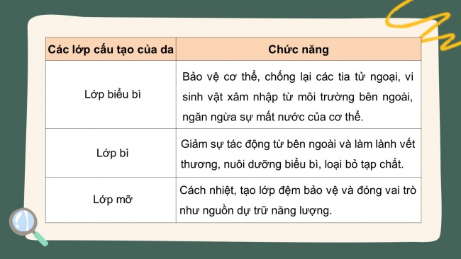 Bài giảng điện tử sinh học 8 cánh diều