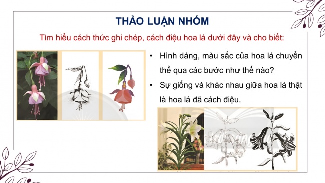 Soạn giáo án điện tử Mĩ thuật 8 CTST (bản 2) Bài 1: Vẽ và cách điệu hoa lá